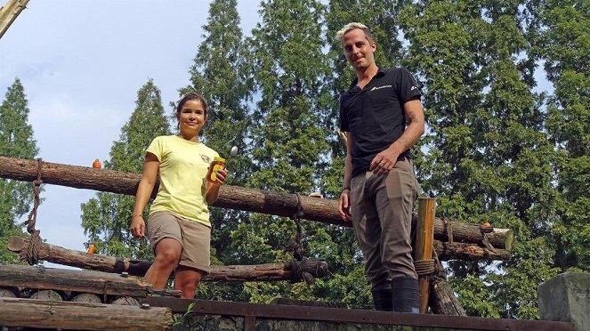 Anna und die wilden Tiere - Honig für den Kragenbären - Kuvat elokuvasta - Annika Preil