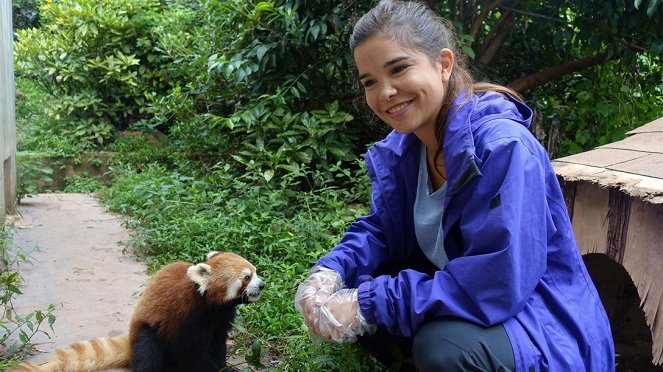 Anna und die wilden Tiere - Wo versteckt sich der Rote Panda? - Filmfotos - Annika Preil