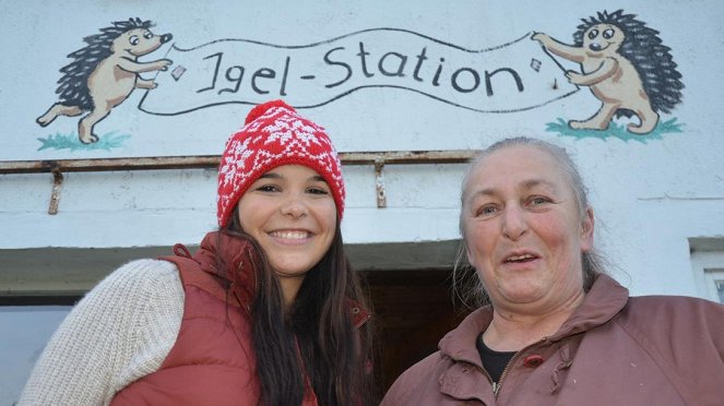 Anna und die wilden Tiere - Wie kommt der Igel durch den Winter? - Z filmu - Annika Preil