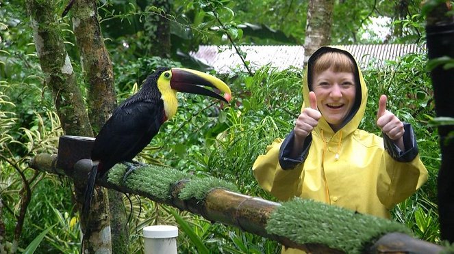 Paula und die wilden Tiere - Die bunten Vögel Costa Ricas - Z filmu - Grit Paulussen