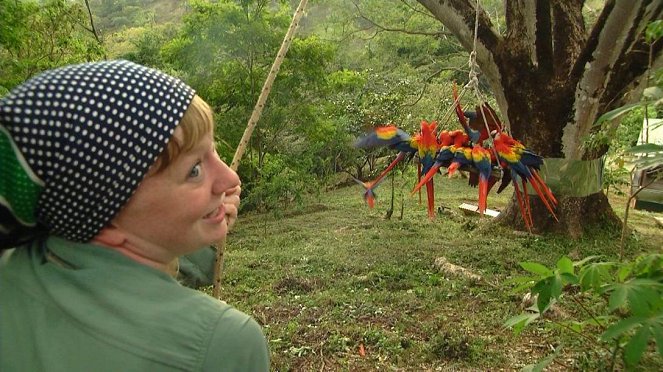 Paula und die wilden Tiere - Die bunten Vögel Costa Ricas - Z filmu