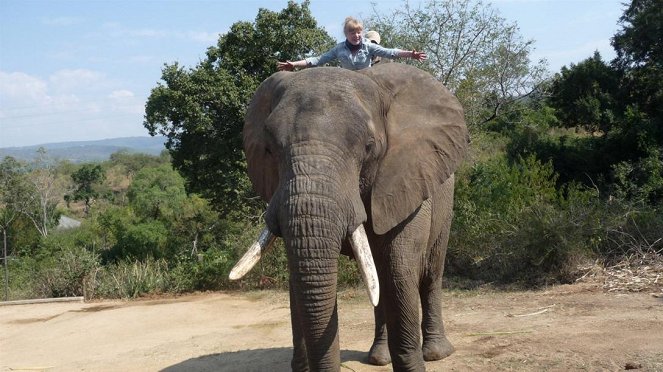 Paula und die wilden Tiere - Hoch auf dem Elefanten - Filmfotos - Grit Paulussen