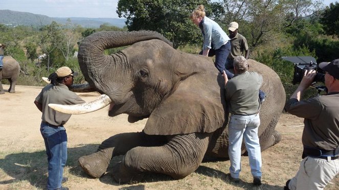 Paula und die wilden Tiere - Hoch auf dem Elefanten - Z natáčení