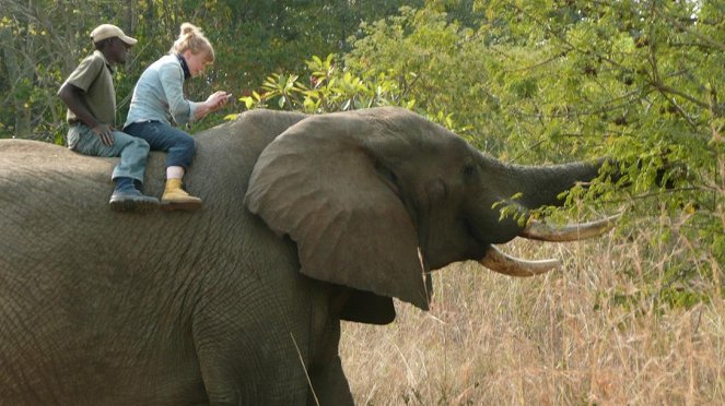 Paula und die wilden Tiere - Hoch auf dem Elefanten - Van film