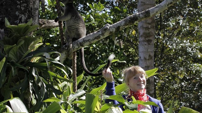 Paula und die wilden Tiere - Was macht das Känguru im Baum? - Filmfotos - Grit Paulussen