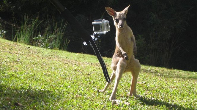Paula und die wilden Tiere - Hüpfen wie ein Känguru - Z natáčení