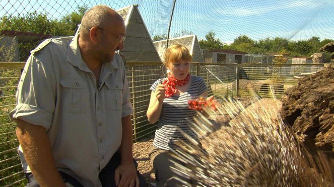 Paula und die wilden Tiere - Kuscheln mit dem Stachelschwein - Van film - Grit Paulussen