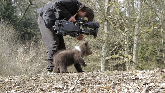 Paula und die wilden Tiere - Bärengeschwister (2): Erster Ausflug - Z natáčení