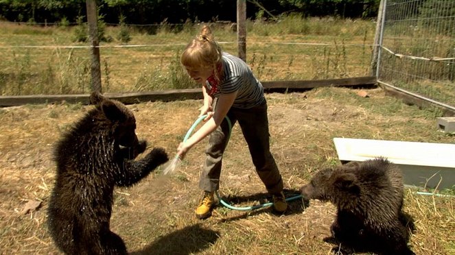 Paula und die wilden Tiere - Bärengeschwister (4): Bärenhunger - Film - Grit Paulussen