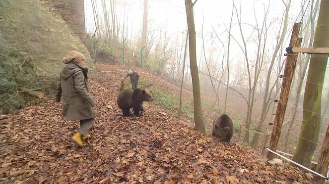 Paula und die wilden Tiere - Bärengeschwister (5): Bärenabschied - Filmfotók