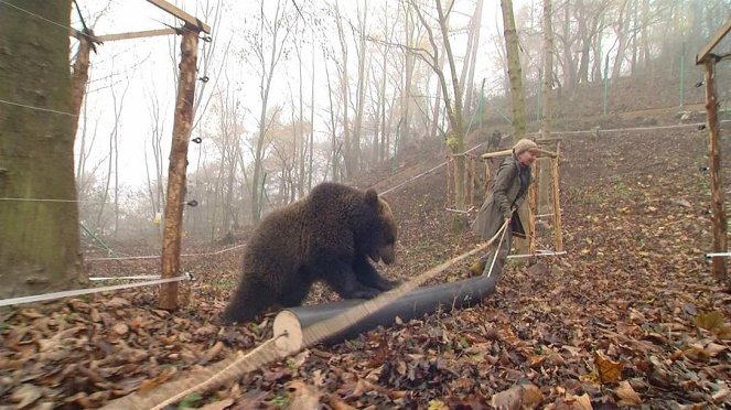 Paula und die wilden Tiere - Bärengeschwister (5): Bärenabschied - Filmfotók - Grit Paulussen