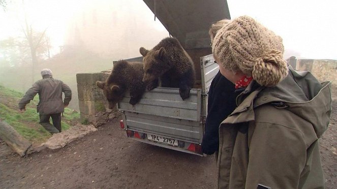 Paula und die wilden Tiere - Bärengeschwister (5): Bärenabschied - Filmfotos