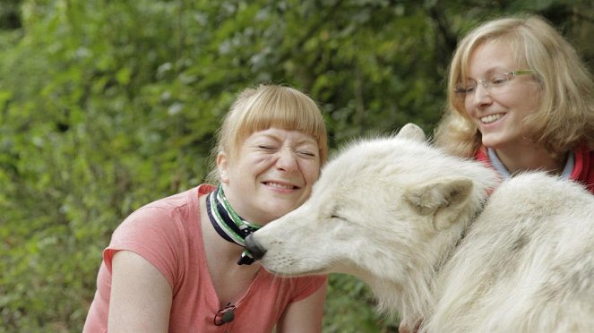 Paula und die wilden Tiere - Wie böse ist der Wolf? - Filmfotók