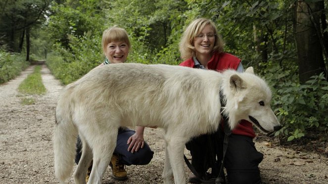 Paula und die wilden Tiere - Wie böse ist der Wolf? - Filmfotos