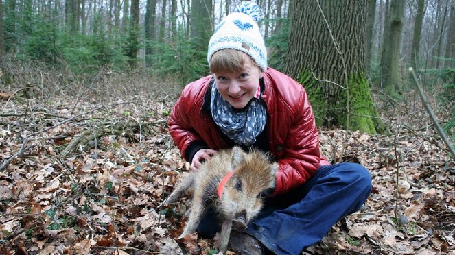 Paula und die wilden Tiere - Ein Wildschwein zum Knuddeln - Film - Grit Paulussen