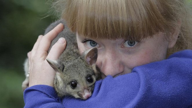 Paula und die wilden Tiere - Die Possumbande - De filmes - Grit Paulussen