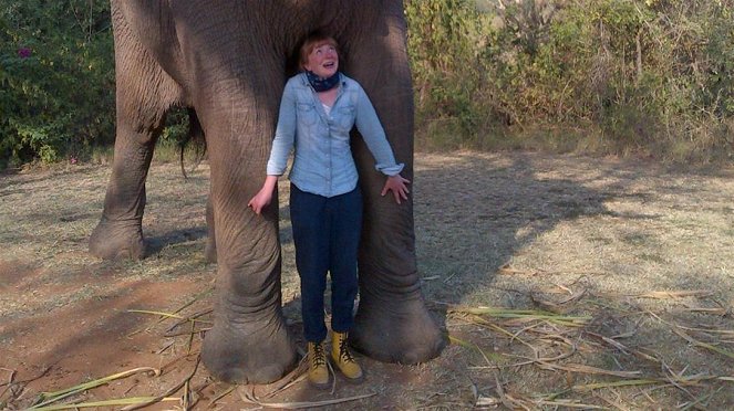 Paula und die wilden Tiere - Wie versteckt sich ein Elefant? - Filmfotos - Grit Paulussen