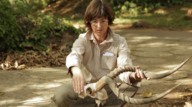 Paula und die wilden Tiere - Im Reich der Antilopen - Van film