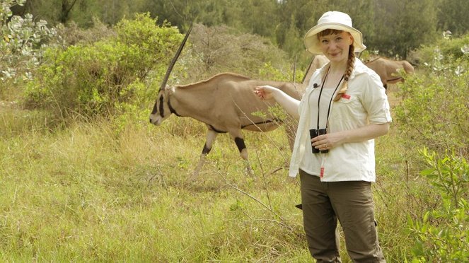 Paula und die wilden Tiere - Im Reich der Antilopen - Van film - Grit Paulussen