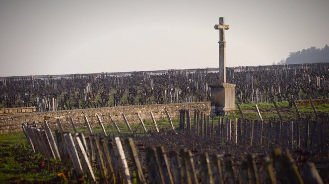 Milovníci vína - Rozloučení s Francií - Filmfotos