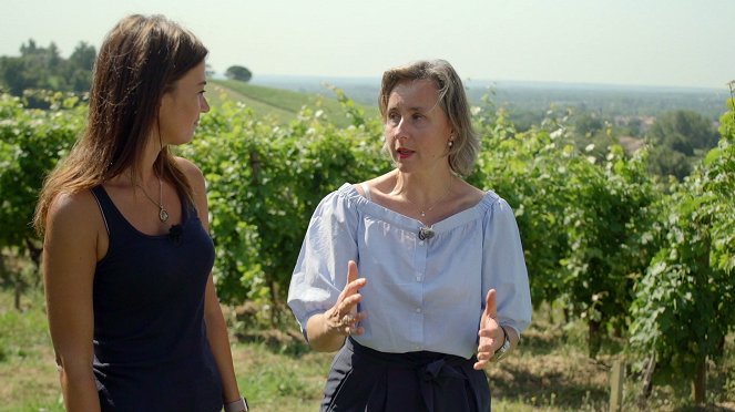 Milovníci vína - Rozloučení s Francií - Van film