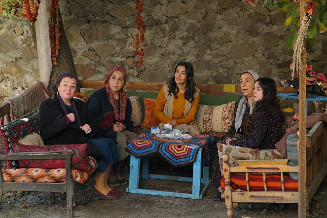 Gönül Dağı - Arı Kanadı Mucizesi - Kuvat elokuvasta
