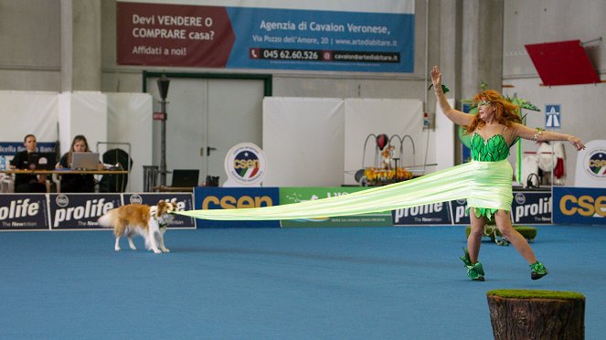 Somos los campeones - Danza canina - De la película