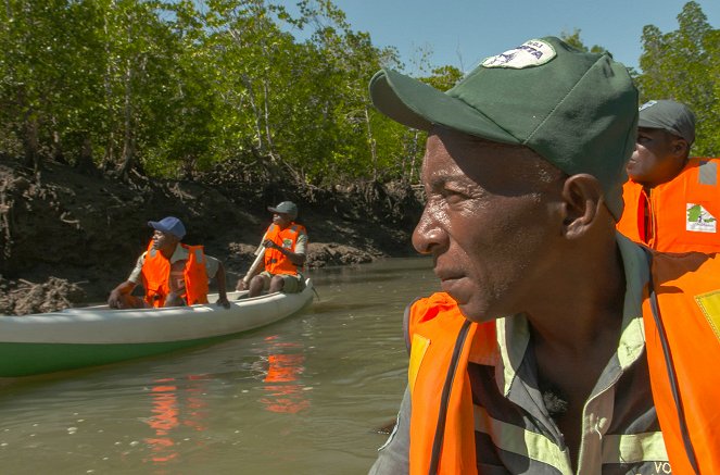 La Vie secrète des mangroves - Madagascar, la forêt aux esprits - Z filmu