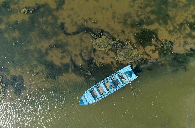 La Vie secrète des mangroves - Vietnam, le temps de la renaissance - Kuvat elokuvasta