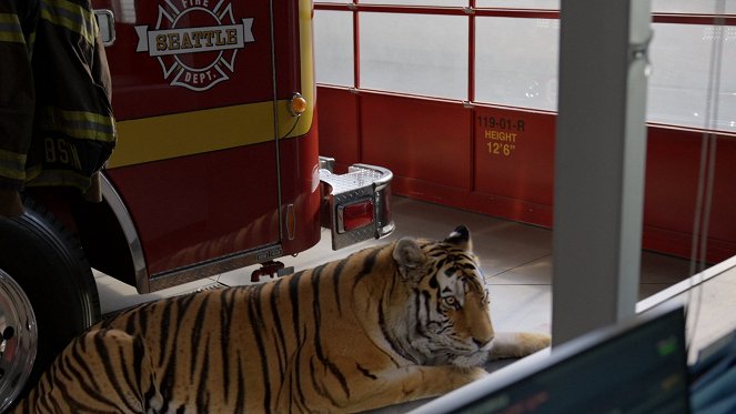 Station 19 - Season 4 - Wild World - Photos