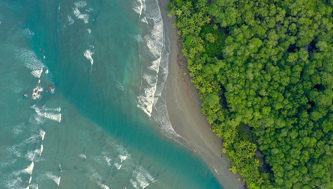 Costa Rica – Der Natur zur Seite stehen - Der Trockenwald in vollem Saft - Filmfotos