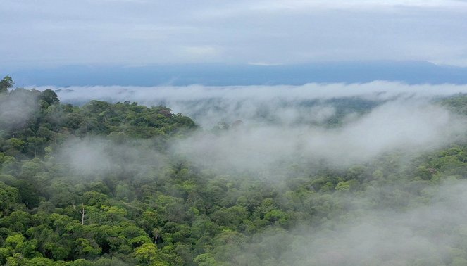 Kostarika - vzedmutí přírody - Tropický opadavý les - Z filmu