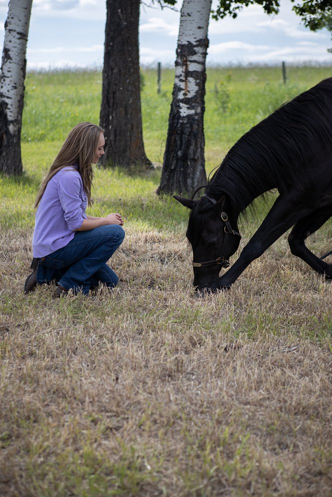 Heartland - Paradies für Pferde - Wochenende mit Hindernissen - Filmfotos