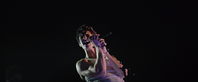 Shawn Mendes: Live in Concert - Filmfotók - Shawn Mendes