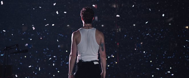 Shawn Mendes: In Wonder - Photos