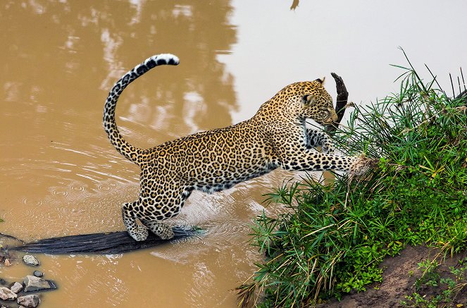 Die Leopardin - Filmfotos