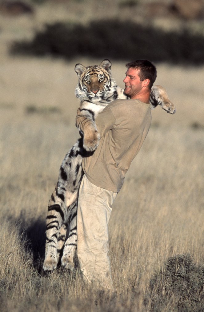Ein Leben mit wilden Tigern - Filmfotos - Dave Salmoni