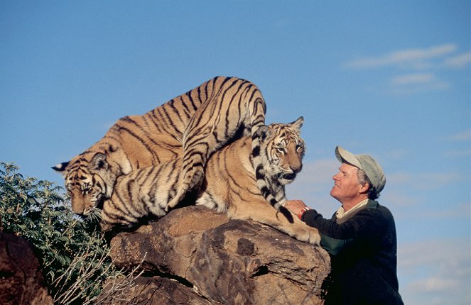 Ein Leben mit wilden Tigern - Filmfotos