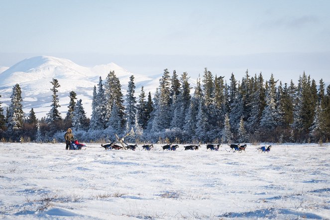 Iditarod, la dernière course de Nicolas Vanier - Photos