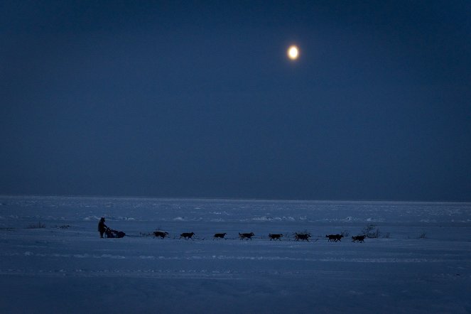 Iditarod, la dernière course de Nicolas Vanier - Photos