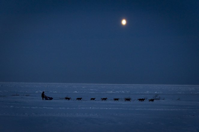 Iditarod, la dernière course de Nicolas Vanier - Filmfotos