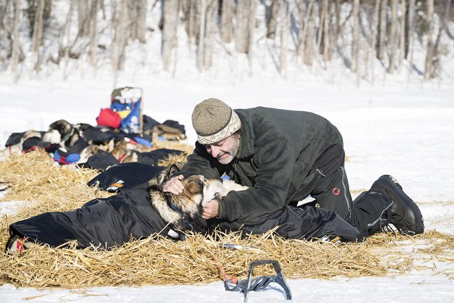 Iditarod, la dernière course de Nicolas Vanier - Photos - Nicolas Vanier