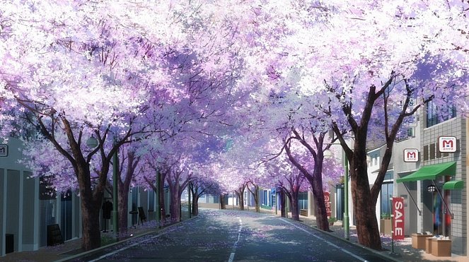 Sakura Quest - The Kingdom of Cherry Blossoms - Photos