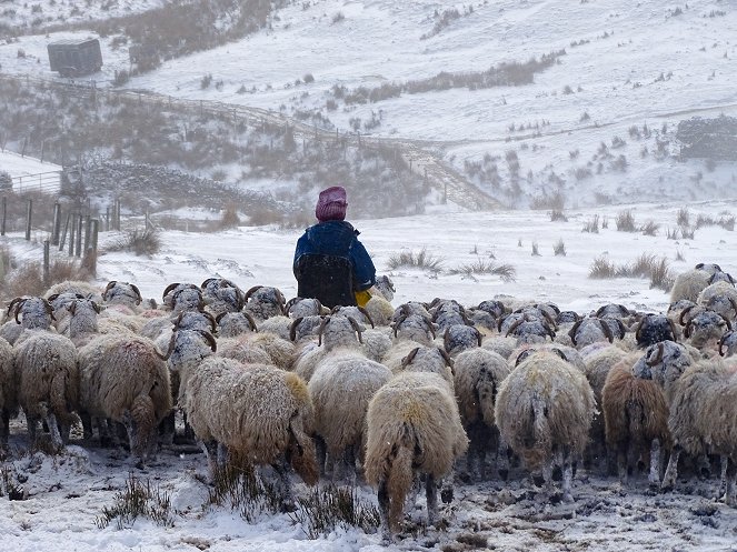 Our Yorkshire Farm - Season 1 - Winter - De la película