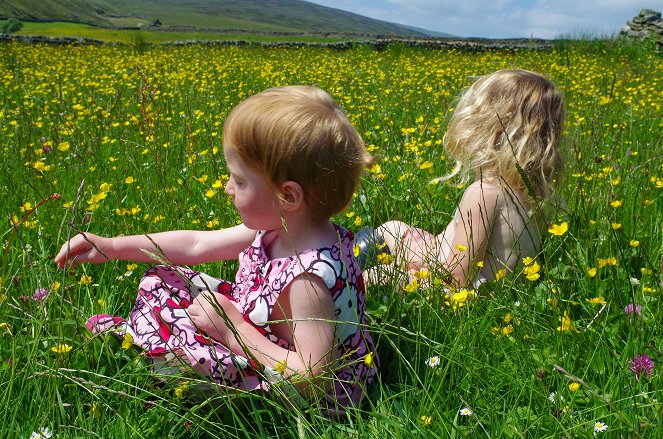 Our Yorkshire Farm - Spring - Filmfotos