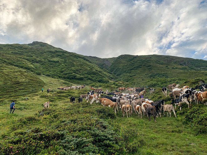 Vom Leben und Arbeiten im Hochgebirge - Film