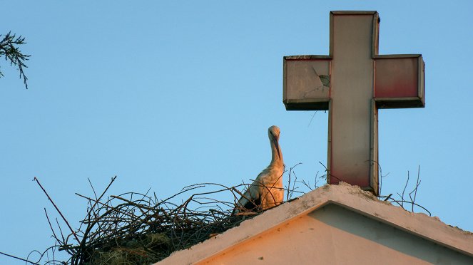 Universum: Ungezähmtes Albanien - Photos