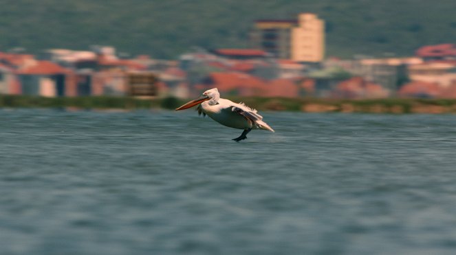 Universum: Ungezähmtes Albanien - Filmfotos