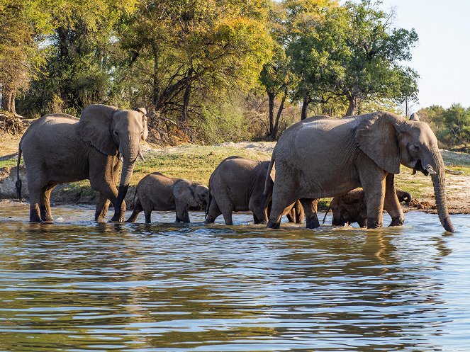 Victoria Falls - Africa's Garden of Eden - Photos