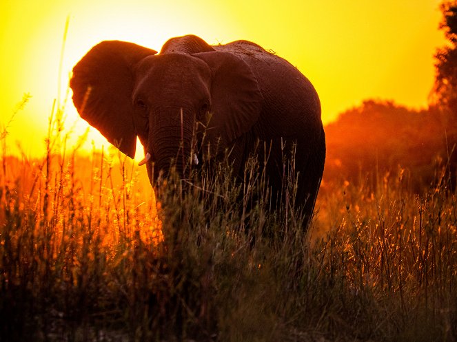 Victoria Falls - Africa's Garden of Eden - Photos